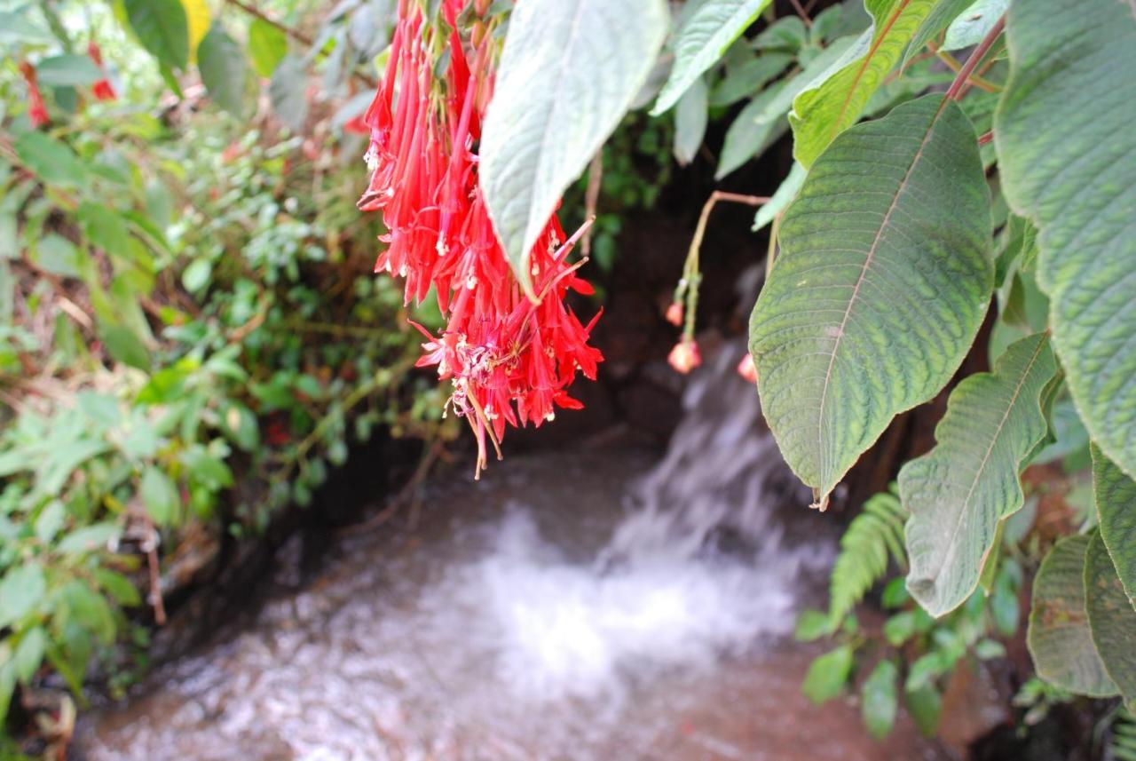Iorana Hotel Urubamba Ngoại thất bức ảnh