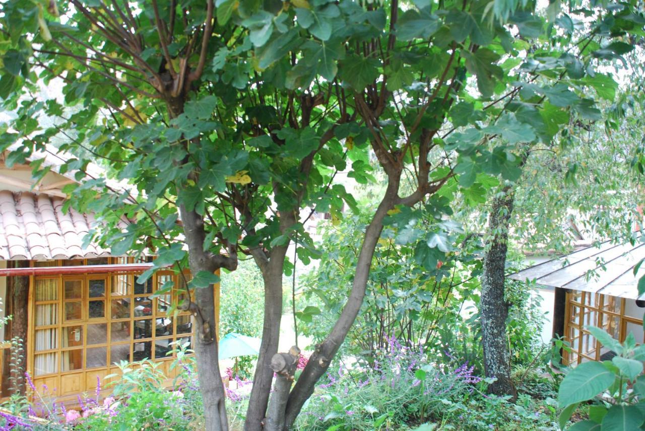 Iorana Hotel Urubamba Ngoại thất bức ảnh